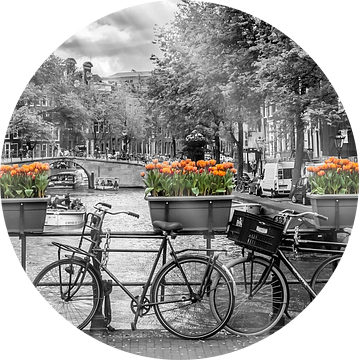 AMSTERDAM Herengracht | Panorama van Melanie Viola