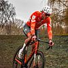 Mathieu van der Poel zum achten Mal Weltmeister im Cyclocross von FreddyFinn