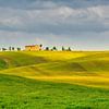 rolling countryside in Tuscany by eric van der eijk