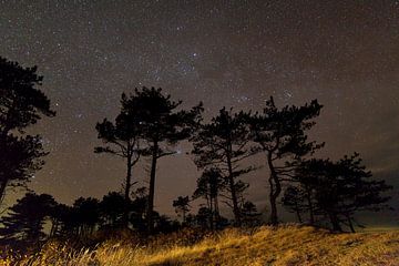 Sternenhimmel über den Niederlanden von Anton de Zeeuw