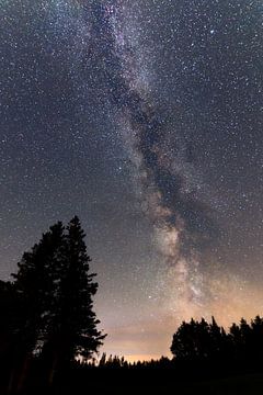 Galaxie in Ely, nördliches Minnesota, Amerika von Tim Emmerzaal