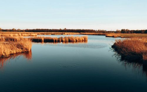 Nature area Het Twiske