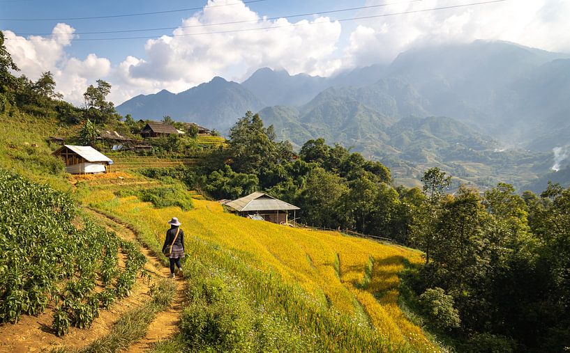 Sa Pa, Vietnam by Patrick Fotografeert