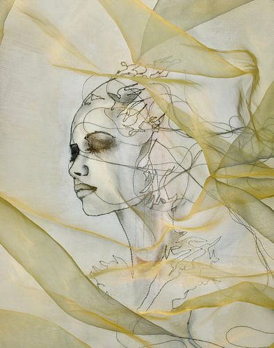 'Hidden &amp ; Seen&#039 ; sur Kim Rijntjes