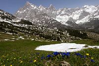 Berglandschaft im Frühling