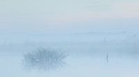 Mist in de vroege ochtend over het water par Art Wittingen Aperçu