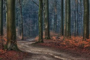 Comme un tableau sur Moetwil en van Dijk - Fotografie