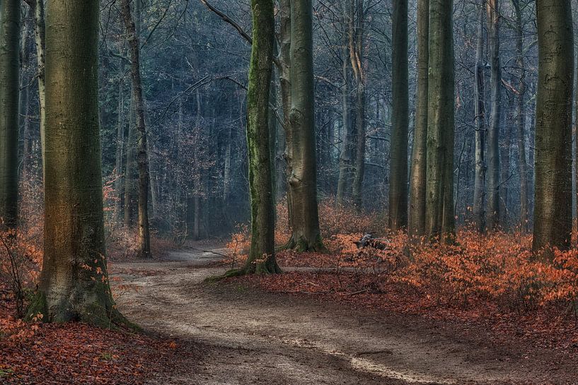 Wie ein Gemälde von Moetwil en van Dijk - Fotografie