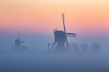 Windmühlen im Nebel