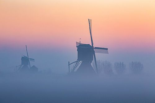 Molens in de mist