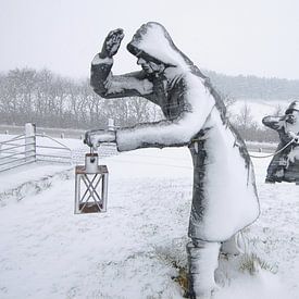 Les observateurs de digues sur Rinnie Wijnstra (FotoAmeland )