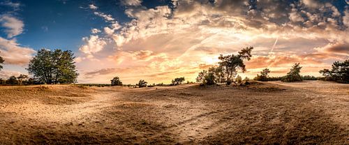 Panorama zandvlakte tijdens de zonsondergang.