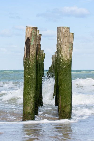 Beschermers van het land by Cathy Php