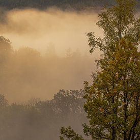 Brouillard d'automne dans les montagnes. sur Dieter Ludorf