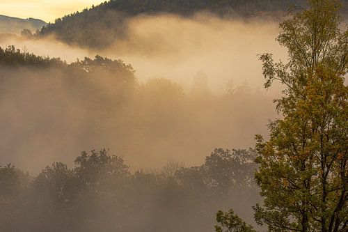 Herfstmist in de bergen.