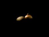 Kartoffel und Zwiebel von WeVaFotografie Miniaturansicht