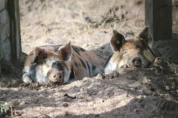 Gemeinsam ausspannen