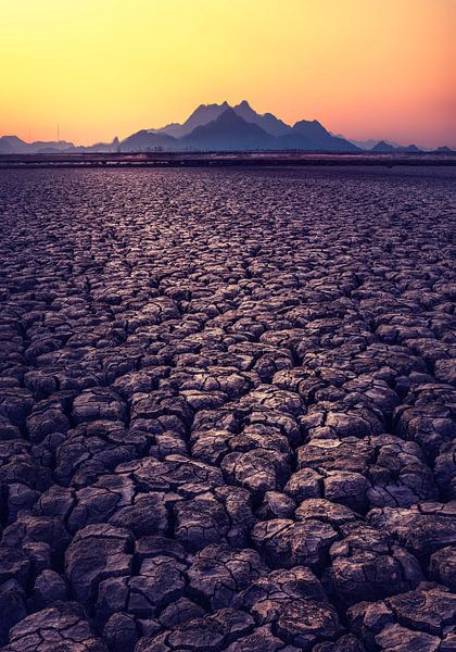 Thirst by Tiger Seo