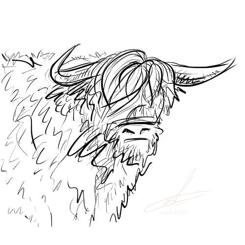 Digitaal artwork - schotse hooglander - marker stift