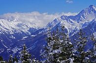 Winter hike in the Tux Alps by Babetts Bildergalerie thumbnail