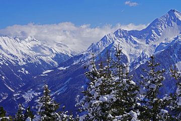 Winterwandeling in de Tuxer Alpen