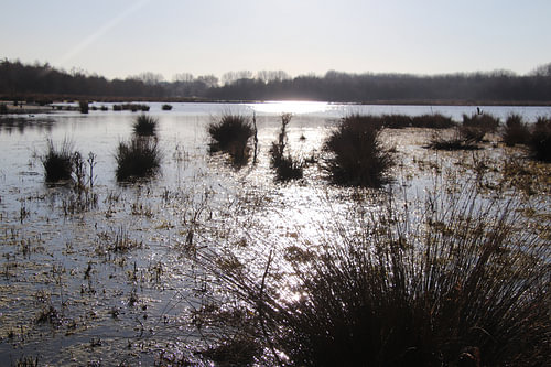 Broekp[older Vlaardingen