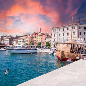 Uitzicht op de havenstad Rovinj in Kroatië van Animaflora PicsStock