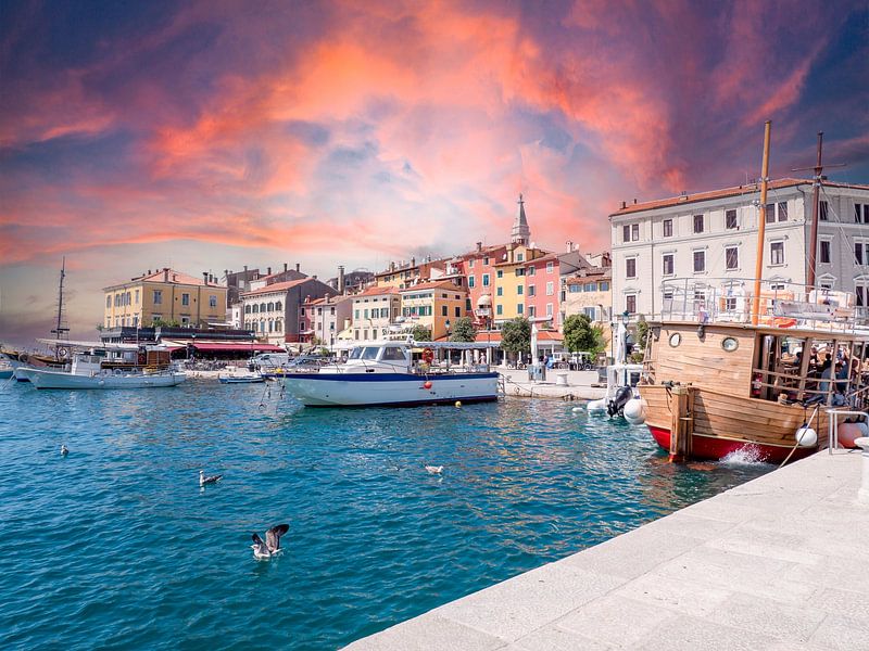 Uitzicht op de havenstad Rovinj in Kroatië van Animaflora PicsStock