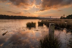 Winter nass Abend rot II