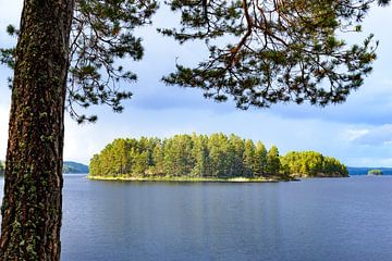 Sweden lake view in summer by Sjoerd van der Wal