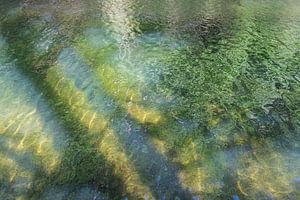 Sommerliche Spiegelung am See 3