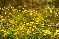 Lovely day.....