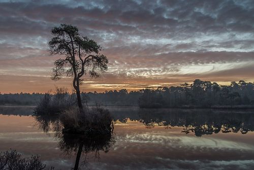 Achterste Goorven, Oisterwijkse bossen en vennen