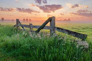 Bauernhoftor in der Wiese bei farbenfrohem Sonnenaufgang