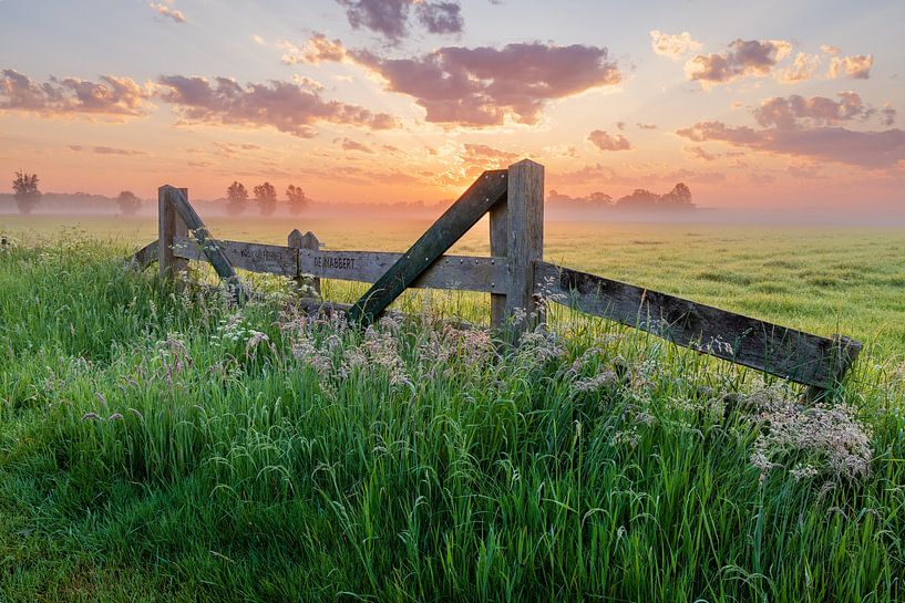 Farm gate in meadow at colourful sunrise by Sjaak den Breeje