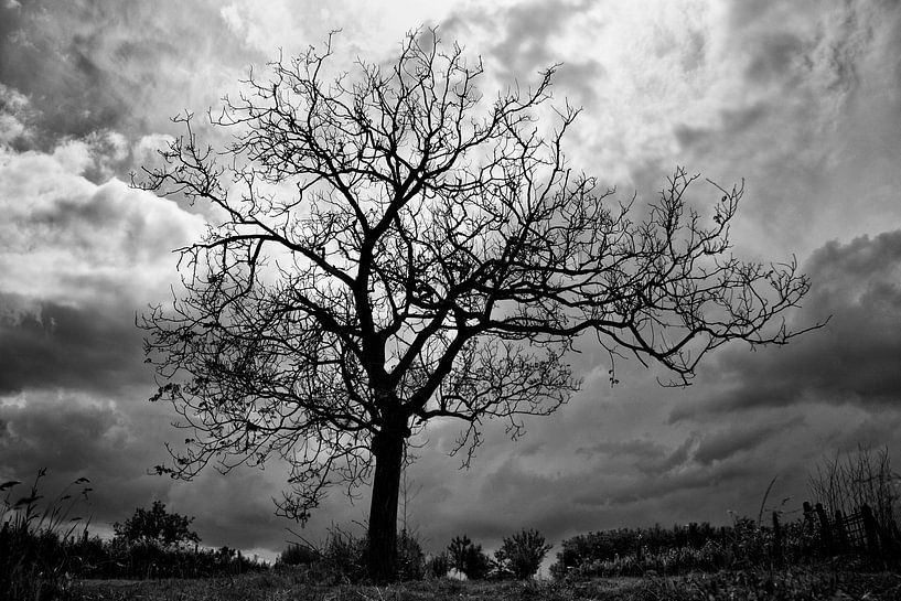 Hongaars landschap by Esther Vertelman