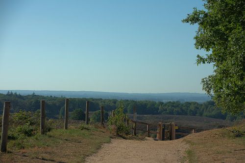 De Posbank op een ochtend in mei.