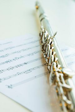 Flute, musical instrument by Gert Hilbink