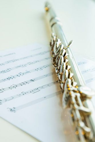 Dwarsfluit, muziekinstrument