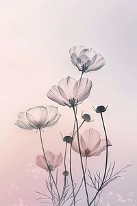 Fleurs de printemps Fleurs