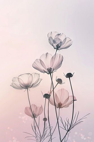 Voorjaarsbloemen Bloemen