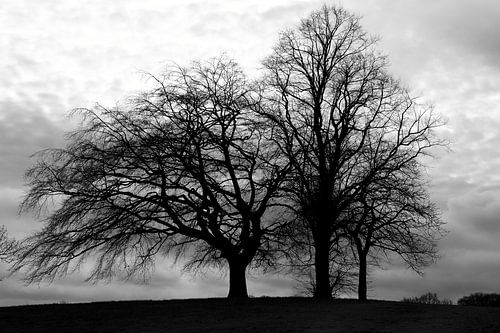 Together we are strong