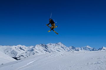 Skiër van Nadia Feys