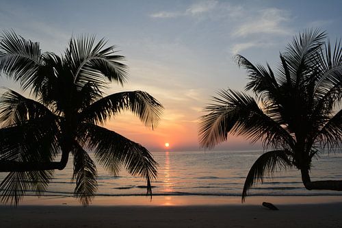 Zonsondergang tussen de palmbomen