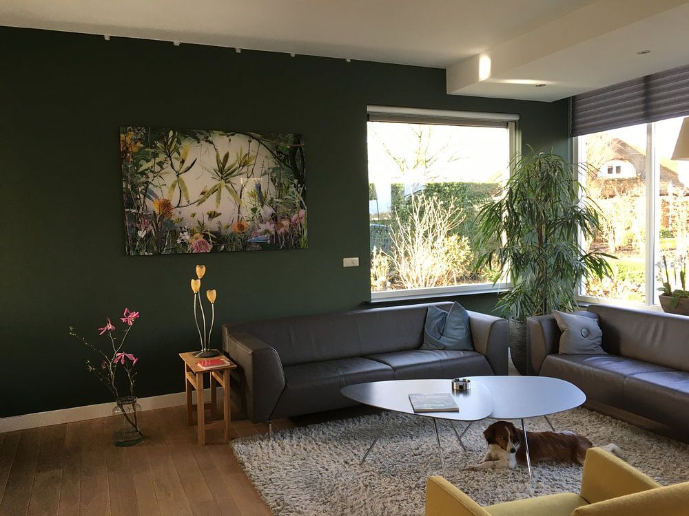 Isles of Wonder  by Jesper Krijgsman 