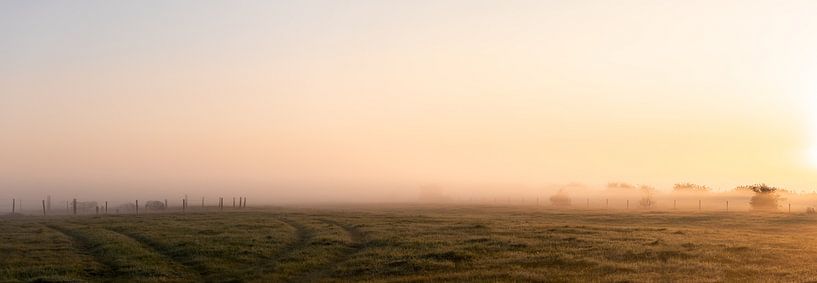 Panoramic photo of misty polder in the morning light by Percy's fotografie