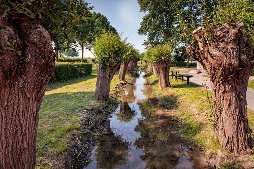 Das alte Kanjelbeek in Itteren
