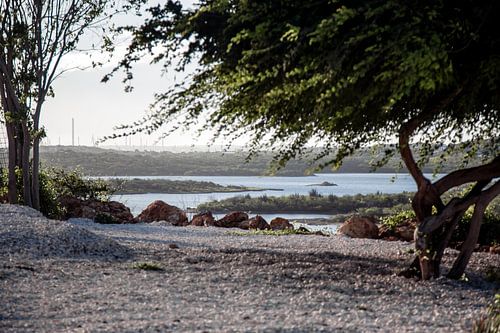 Sonnenuntergang in Curaçao