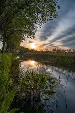 Der Kanal von Peter Deschepper