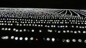 11.000 Lampionnen voor KWF Lunteren 2017